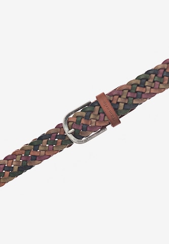 TAMARIS Belt in Mixed colors