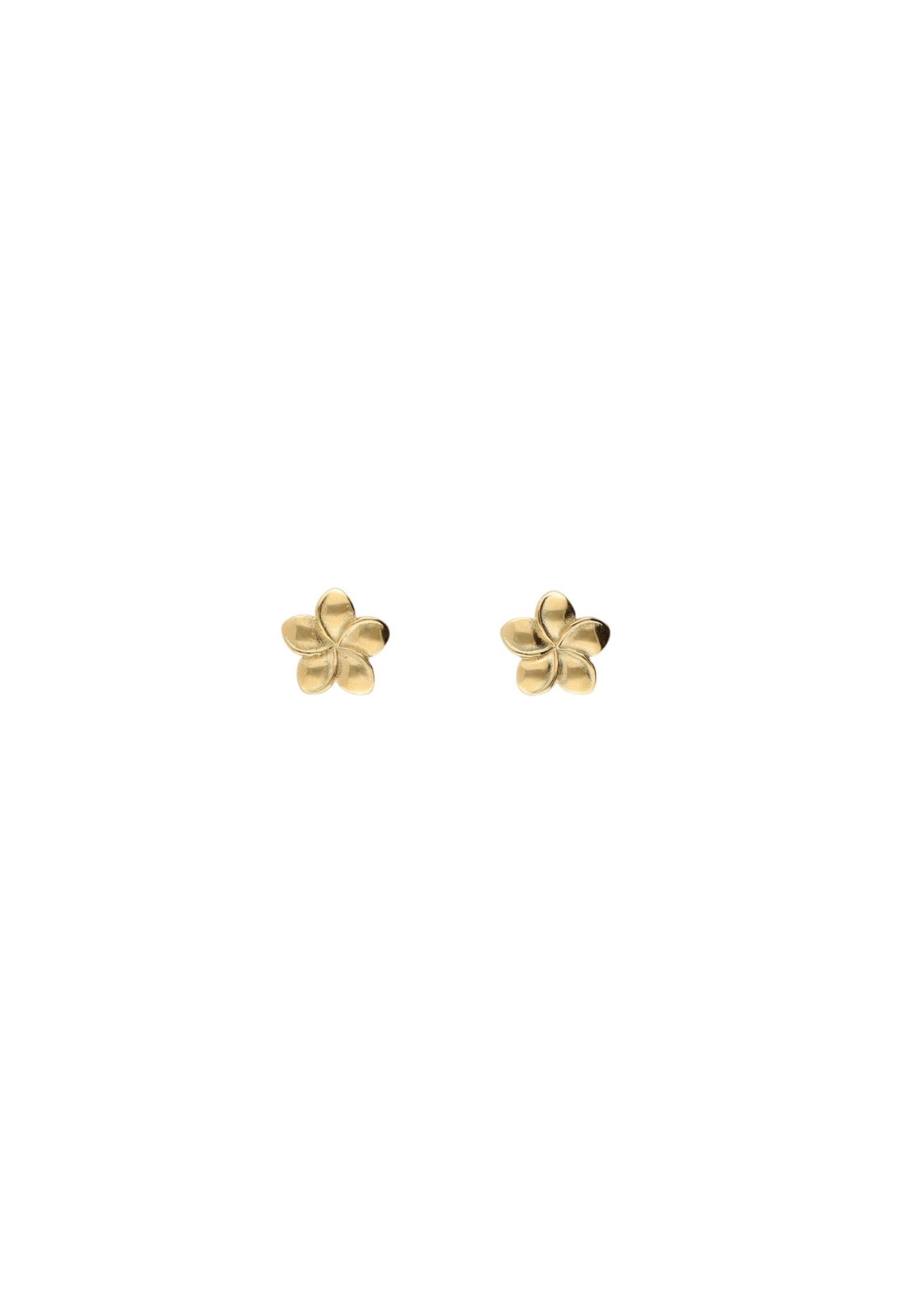Boucles d'oreilles My Jewellery en or : devant