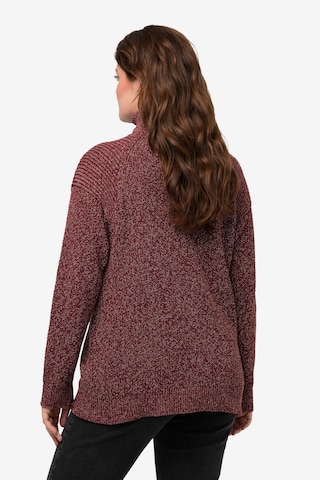 Pullover di Ulla Popken in rosso