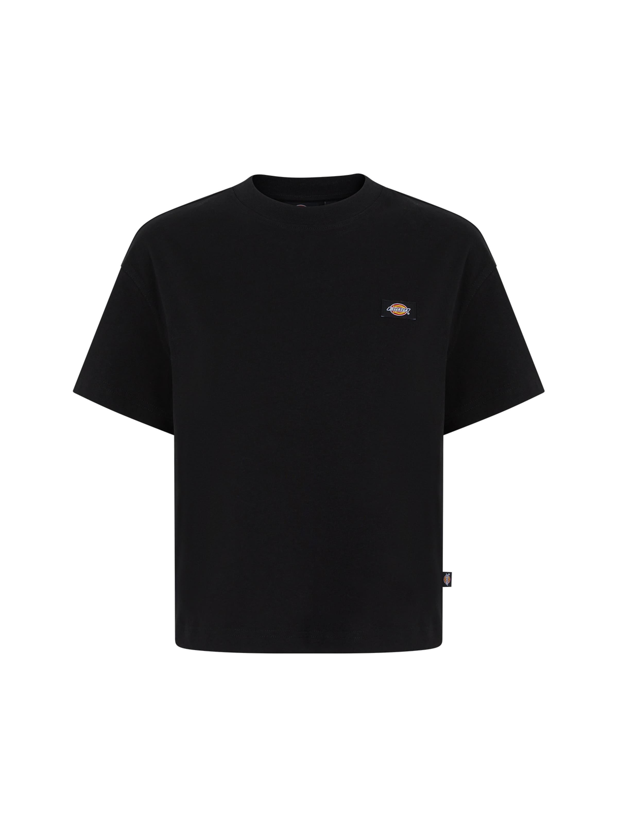 DICKIES Tričko 'Oakport' - Čierna: predná strana