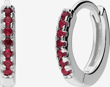 Boucles d'oreilles Lucardi en argent : devant