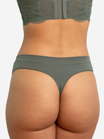 SugarShape String in Groen