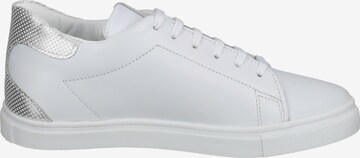 Gordon & Bros Sneakers in White