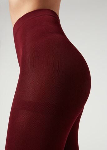 CALZEDONIA Strumpfhose 'thermo' in Rot
