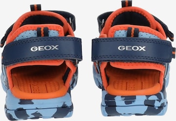 GEOX Offene Schuhe in Blau