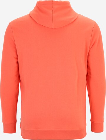 TOM TAILOR Men + Sweatshirt in Orange