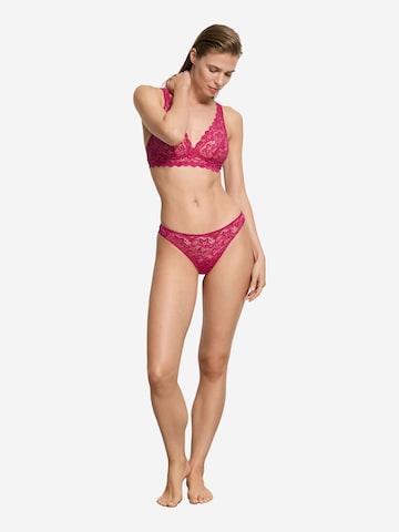 Hanro Thong 'French Lace' in Purple