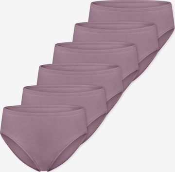 SCHIESSER Slip ' Cotton Essentials ' in Lila: Vorderseite