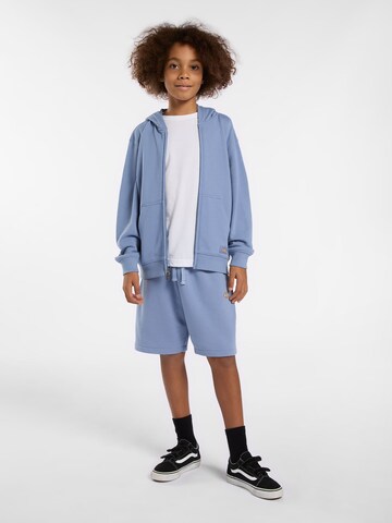 DICKIES Regular Trousers 'MAPLETON' in Blue