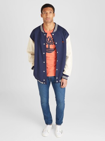 TIMBERLAND Shirt in Oranje