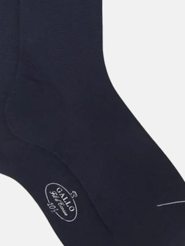Gallo Socks in Blue
