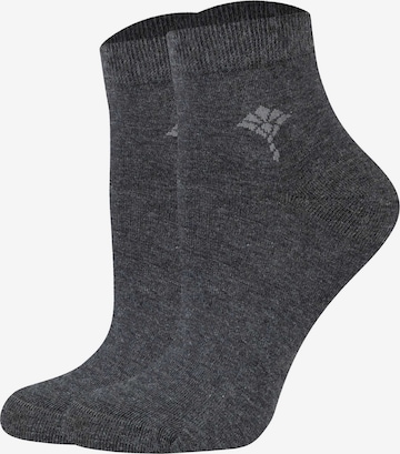 JOOP! Socken in Grau: Vorderseite