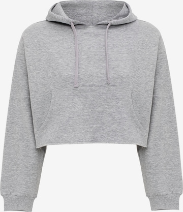 Jacey Quinn Sweatshirt in Grau: Vorderseite