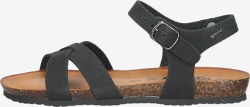 IGI&CO Sandals in Black