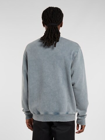 Felpa 'PLENTYWOOD' di DICKIES in grigio