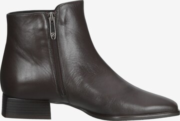 PETER KAISER Ankle Boots in Braun