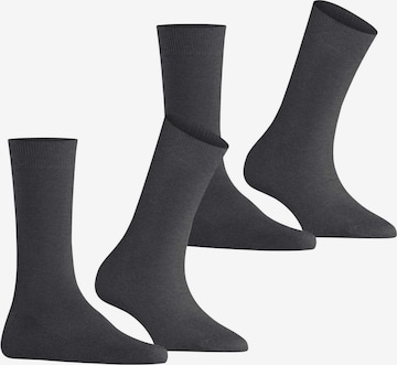 BURLINGTON Socks 'Everyday' in Grey