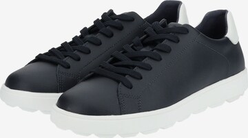 GEOX Sneakers laag 'Spherica' in Blauw