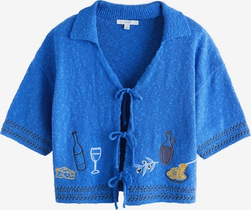 Next Knit cardigan in Blue: front