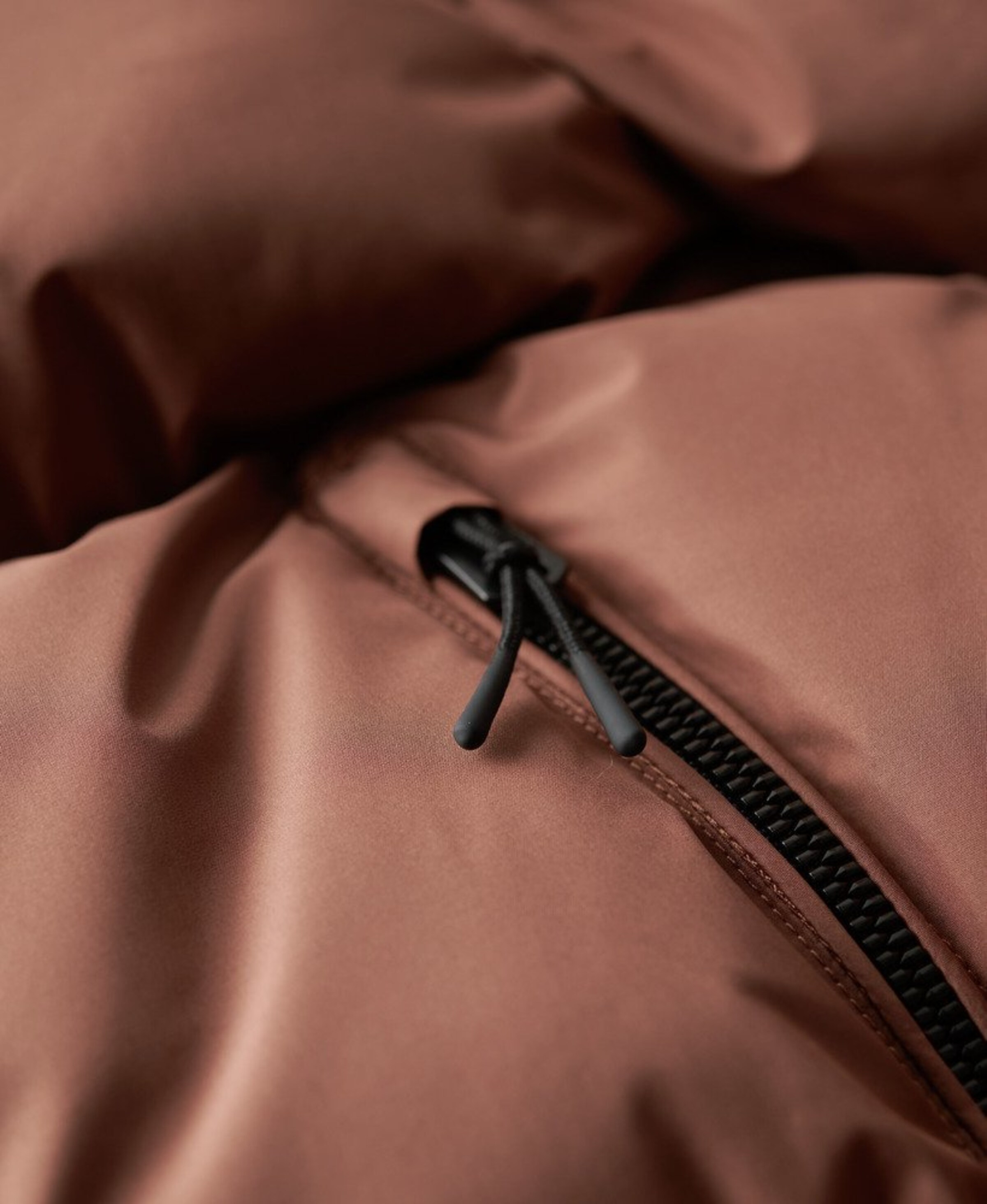 Veste d’hiver Superdry en marron