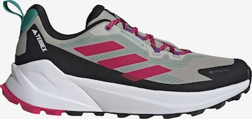 ADIDAS TERREX Lage schoen 'Trailmaker 2.0 ' in Grijs