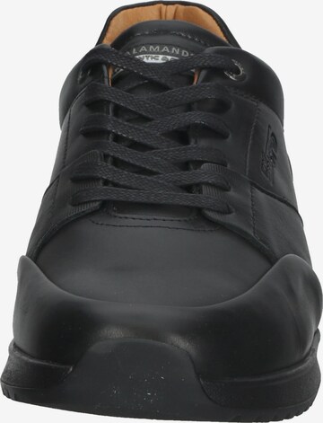 SALAMANDER Sneakers in Black