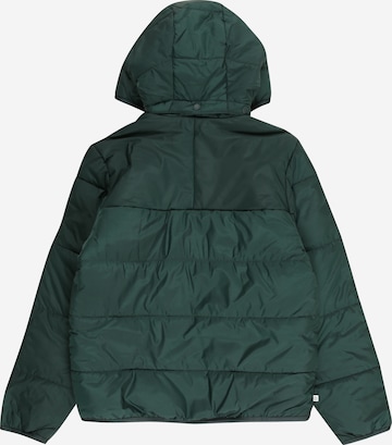 ADIDAS ORIGINALS Zimska jakna 'Adicolor' | zelena barva