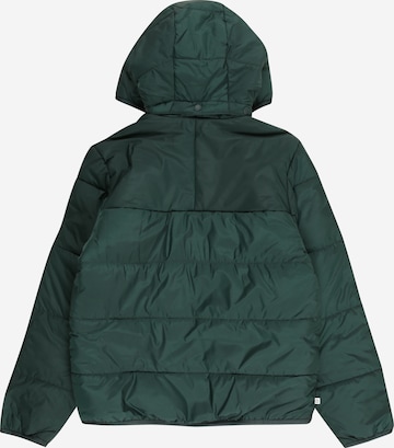 ADIDAS ORIGINALS - Chaqueta de invierno 'Adicolor' en verde