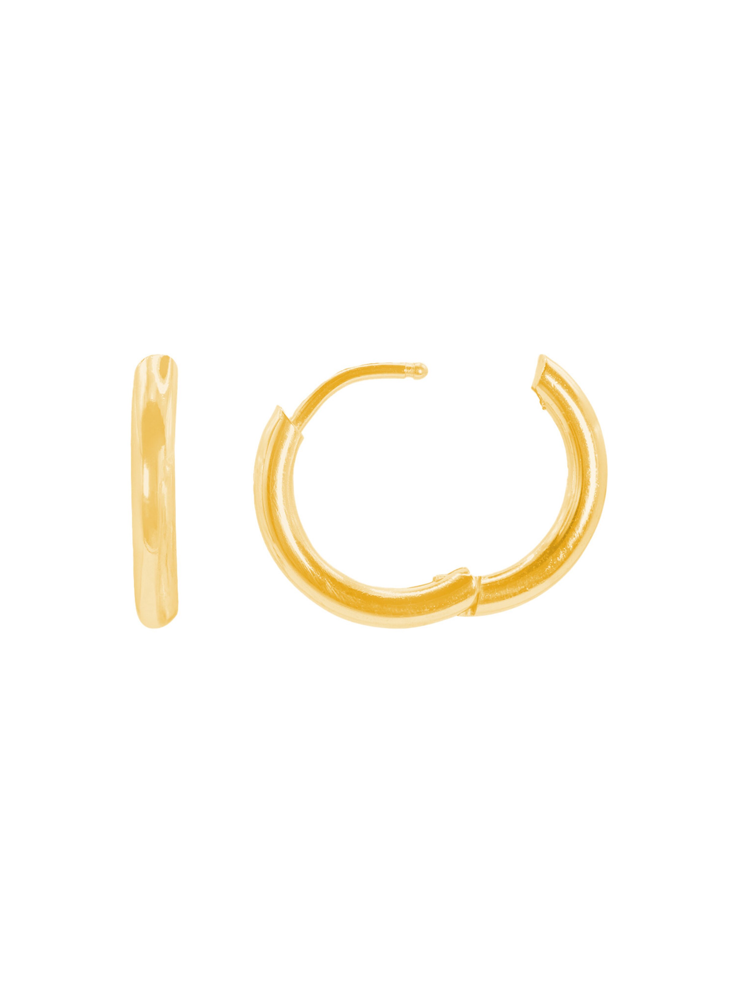 Heideman Earrings 'Bruti' in Gold