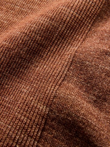 FALKE Regular Workout Pants in Brown