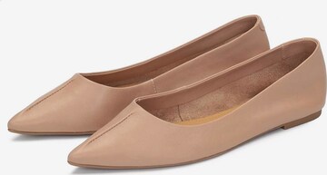 Kazar Studio Ballerina in Beige