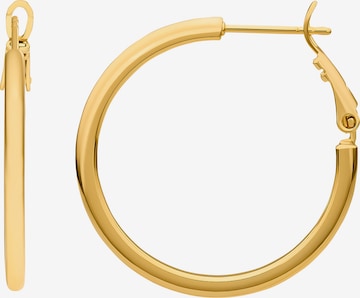 Heideman Earrings 'Sienna' in Gold: front