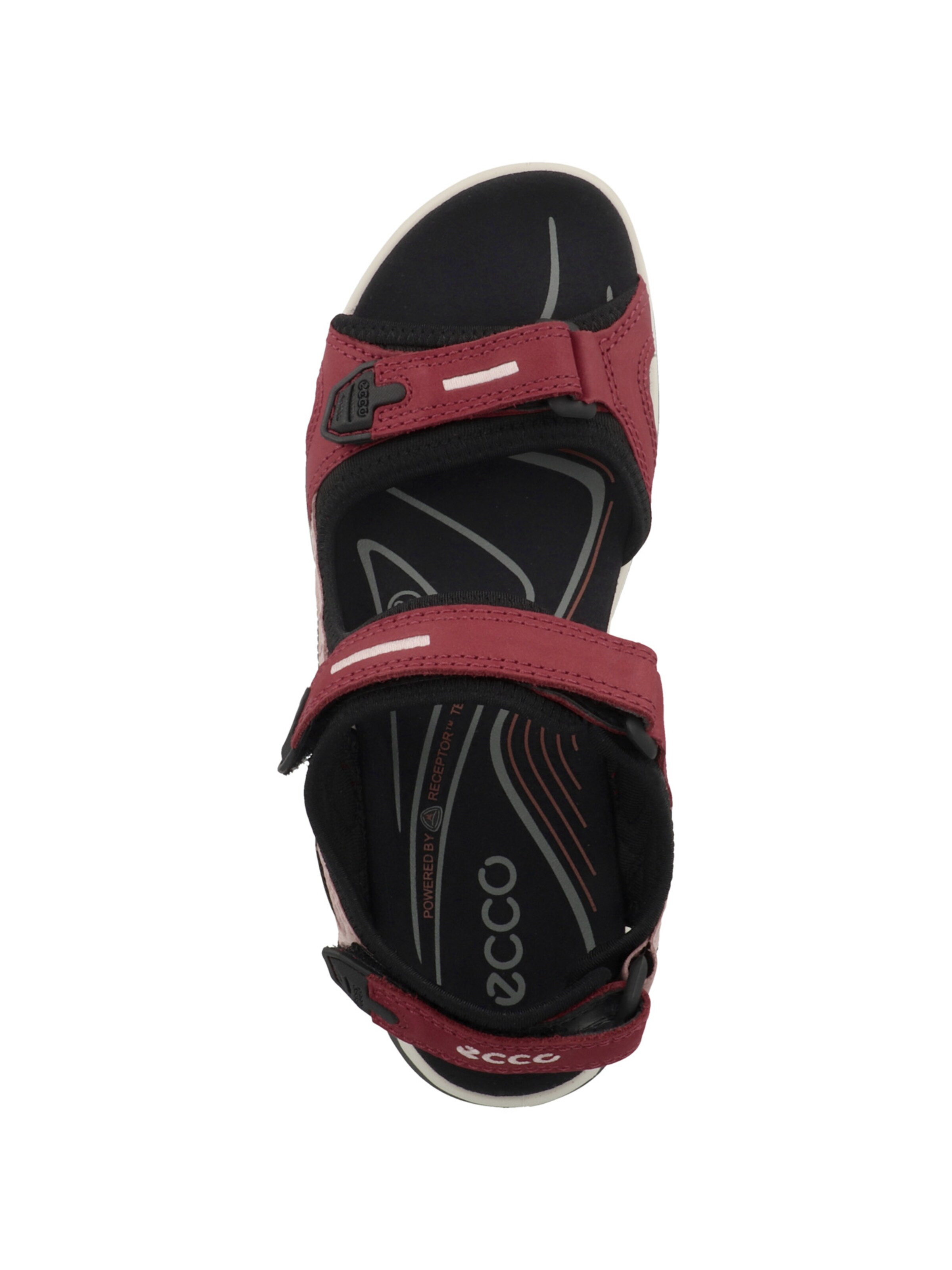 raudona ECCO Sandalai 'Offroad'