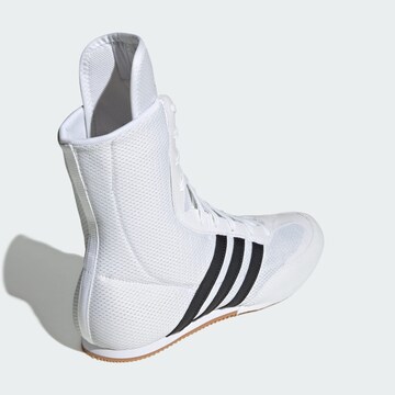 Chaussure de sport 'Box Hog 2.0' ADIDAS PERFORMANCE en blanc