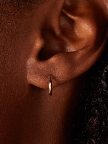 Lucardi Earrings in Gold: front