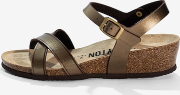 bronzinė Bayton Sandalai 'CANBERRA': priekis