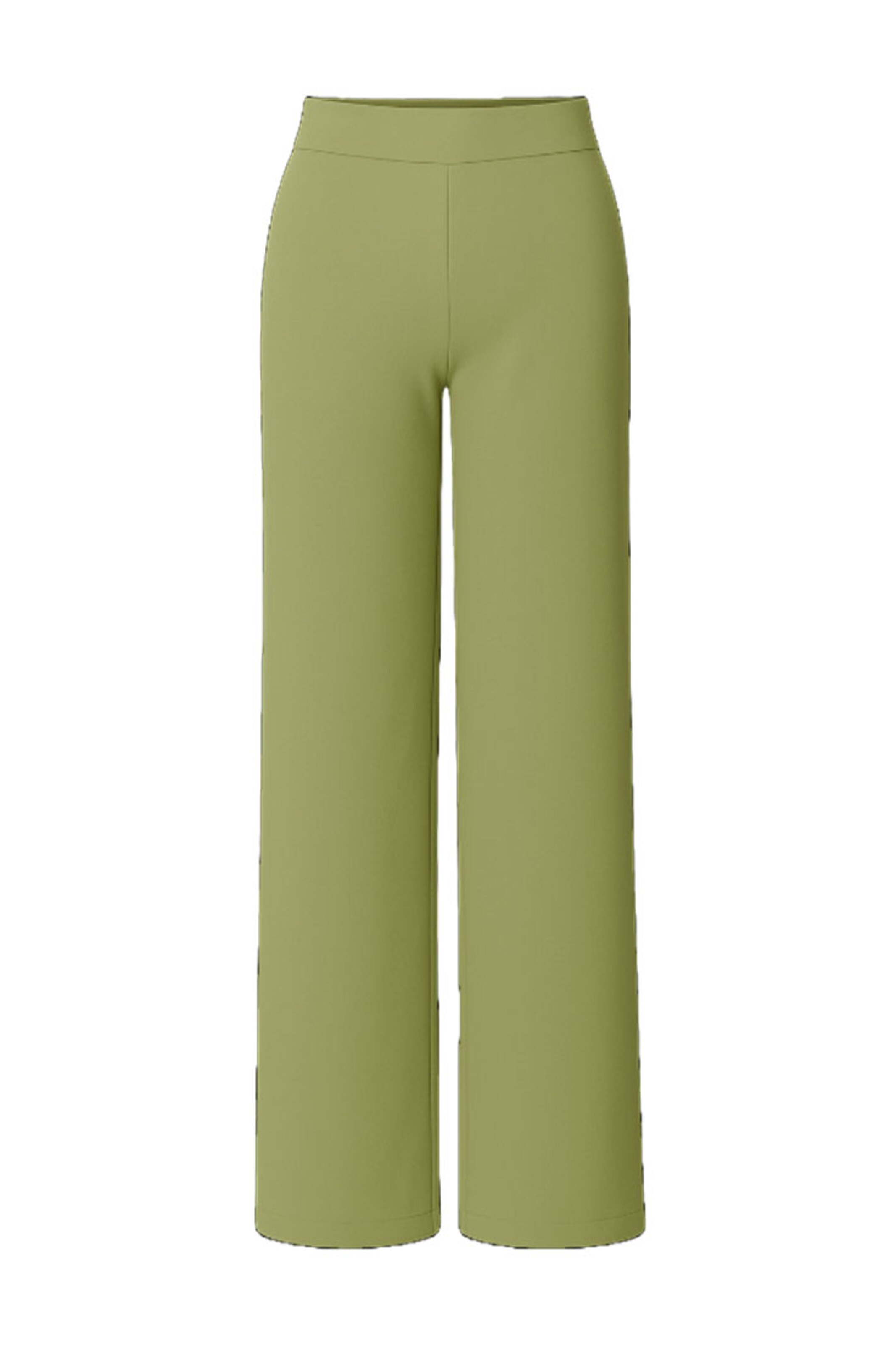 BASE LEVEL CURVY Pants in Green: front