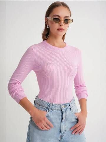 MixRay Sweater in Pink: front