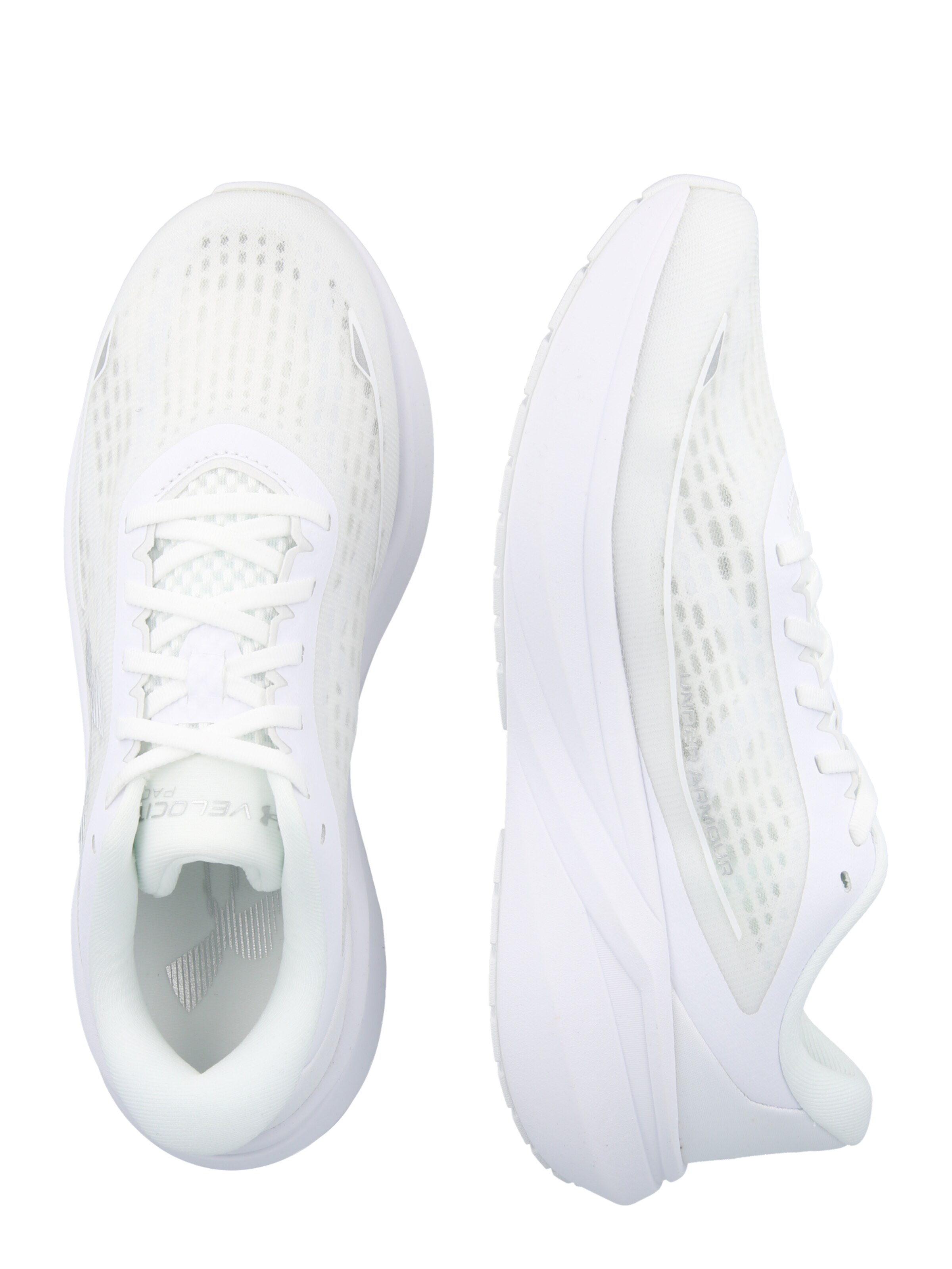 UNDER ARMOUR Loopschoen 'Velociti Pace' in Wit