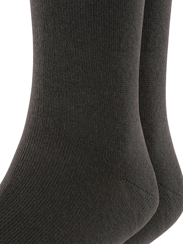 ESPRIT Socks 'Foot Logo 2-Pack' in Black