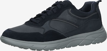 GEOX Sneaker in Blau: predná strana