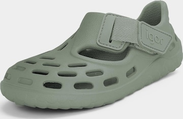 Claquettes / Tongs IGOR en vert : devant