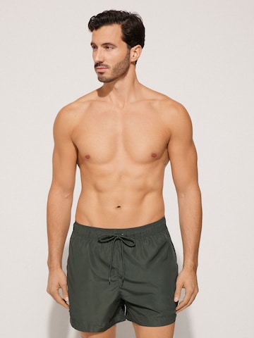 Tezenis Board Shorts in Green: front