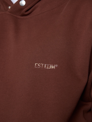 ESTEEM Sweatshirt 'Essential 2.0' i brun
