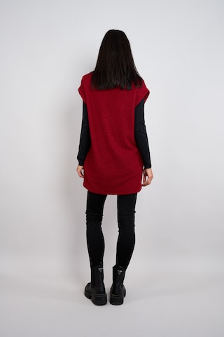 Seidel Moden Sweater in Red