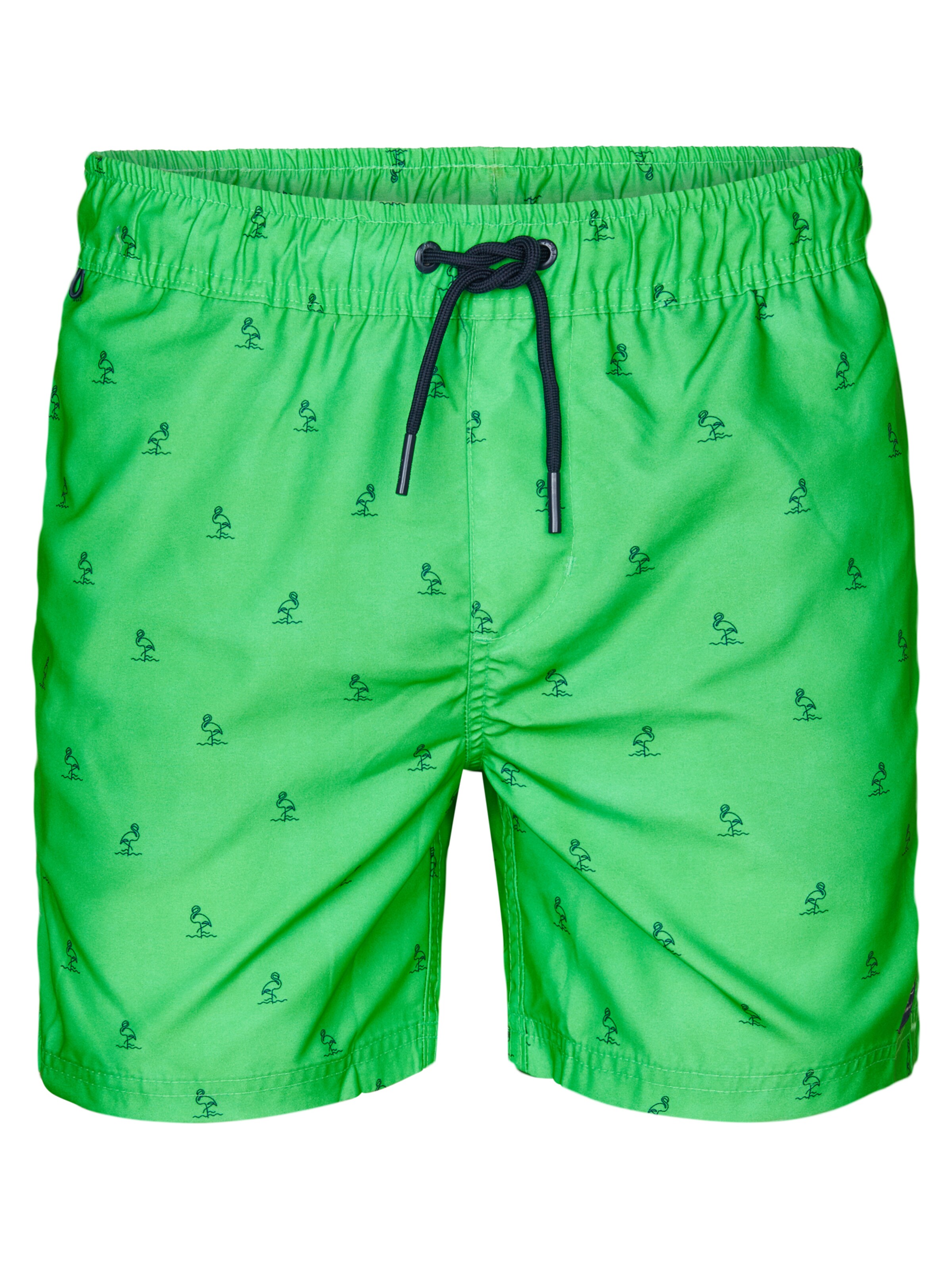 Petrol Industries Плавательные шорты 'Wavecrestview' в Зеленый: спереди