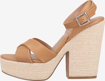 STEVE MADDEN Sandale in Braun