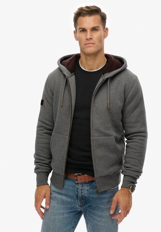 Superdry Trui in Grijs: voorkant