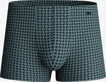 CALIDA Boxer shorts 'Focus Trend' in Green: front