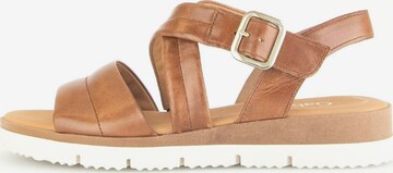 GABOR Strap Sandals in Brown